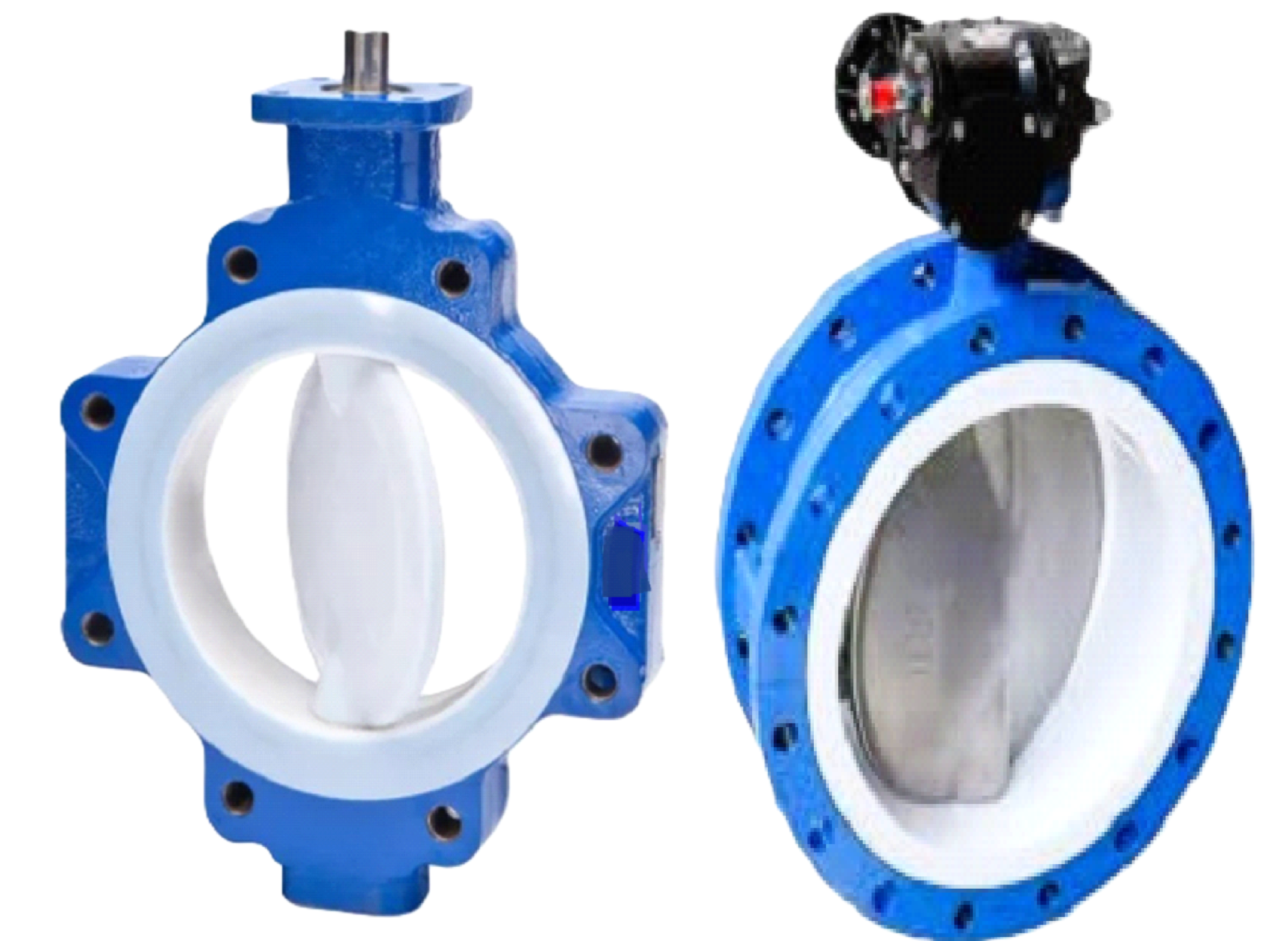 Swing Check Valve