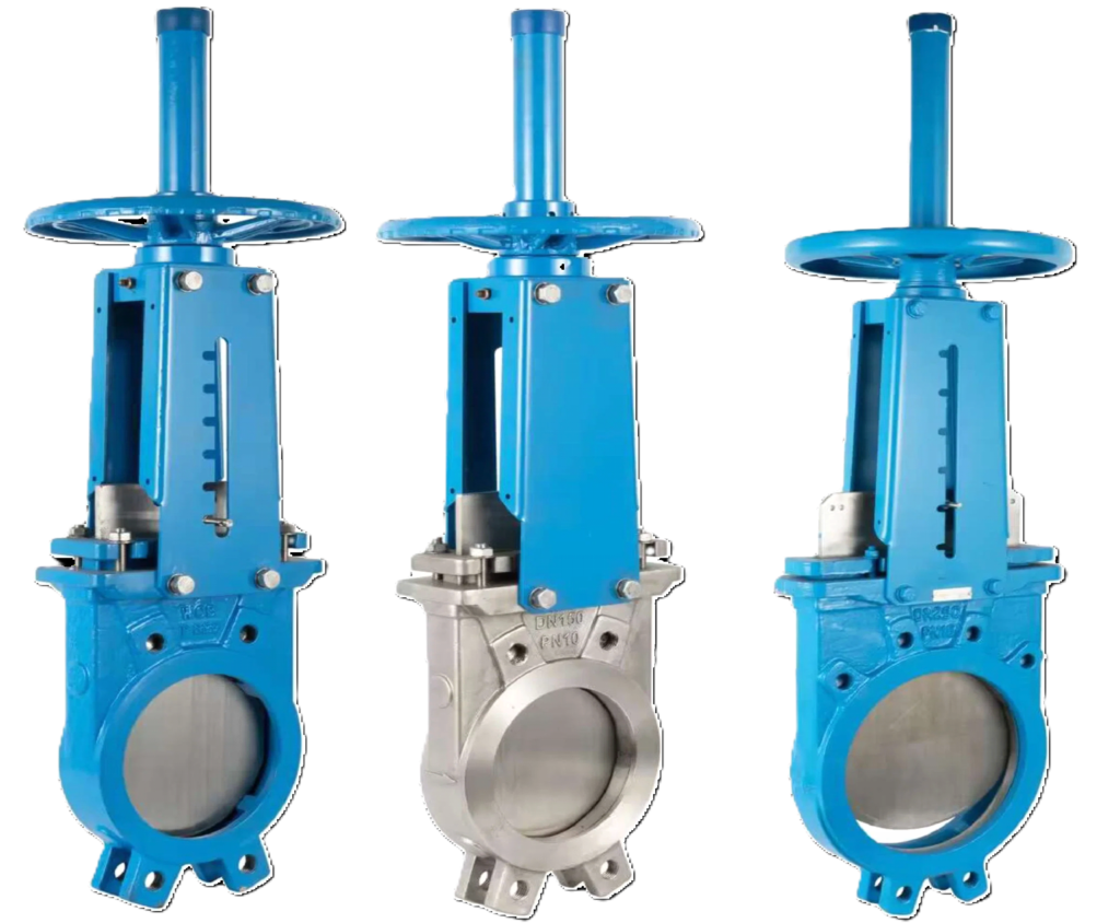 Dual Plate Check Valve